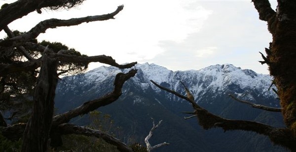 Mount Turiwhate Ecological Island form Taramakau Settlement 